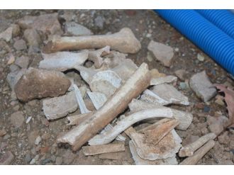 Kemiklerin sırrı Adli Tıp Kurumu’nda çözülecek