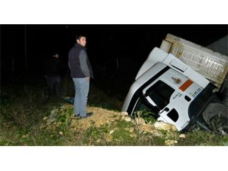 Köpeğin hayatı için canını hiçe saydı