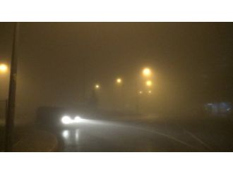 Sürücülerin sisle imtihanı