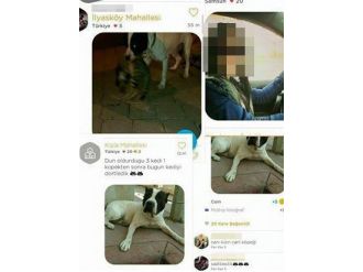 Dehşet fotoğrafları paylaşan genç kıza rekor ceza