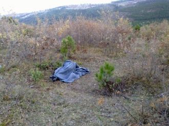 Vahşet! 12 yaşındaki çocuğu vahşice öldürdüler