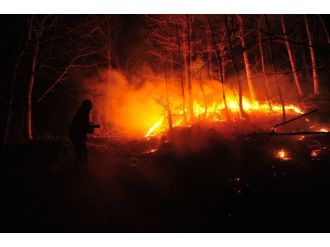 Lodosun etkisiyle kontrol altına alınamıyor