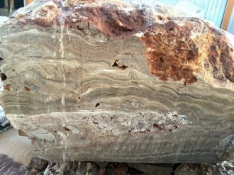 Dünyada çok nadir var: Türkiye’de bulundu