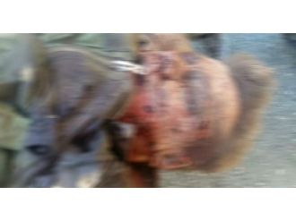 Rus pilotlardan birinin öldüğü ileri sürüldü