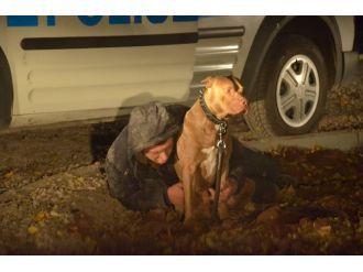 Bonzai içen sahibinin yanına kimseyi yaklaştırmadı