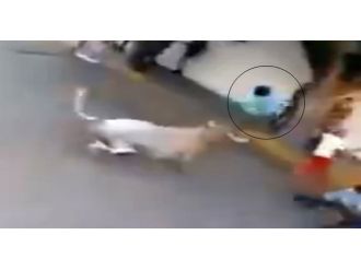 Boğa yine affetmedi !