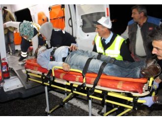 Domuz sürüsü facia getirdi: 3 ölü, 2 yaralı