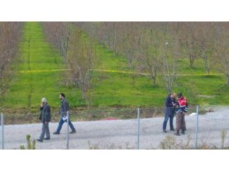 Çiftte cinayette şok detay