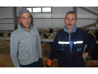 Aradığı çobanı Gürcistan’da buldu