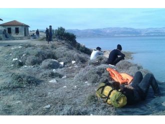 İnsanlık bir kez daha kıyıya vurdu