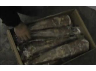 Tuzla’da kaçak et operasyonu