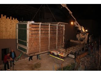 Türkiye’nin ilk gergedanı Darıca’ya geldi