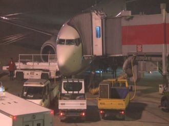 Uçak köpeğe çarptı hava trafiği aksadı