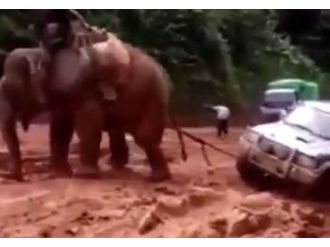 Teknoloji mi doğa mı?