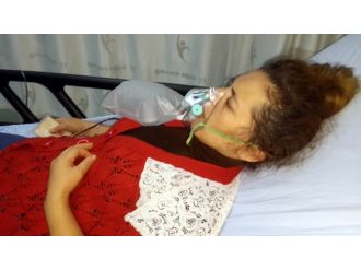 Köpekleri sayesinde ölümden döndüler