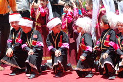 Piknik Şöleni Vardı