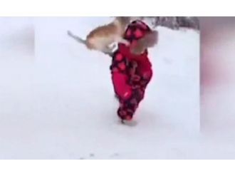 Küçük çocuğu yere serdi!