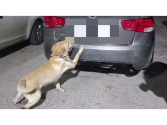 24 kilo esrarı böyle buldu!