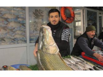 Kilosunu 25 liradan satışa sundu