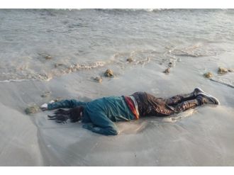 İnsanlık karaya vurdu!