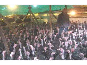 Hindiler artık internetten satılıyor