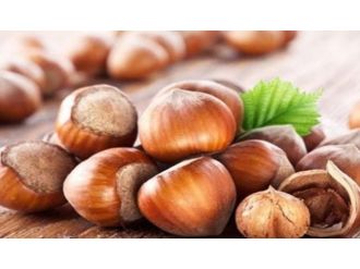 Fındık üreticilerine iyi haber