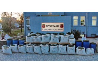 Tam bin 236 kilogram !