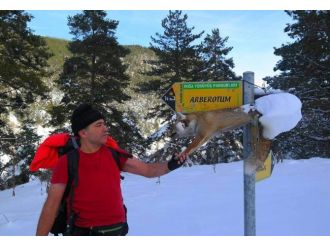 Bunun adı vahşet !