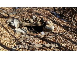 Bingöl’de PKK’ya ağır darbe