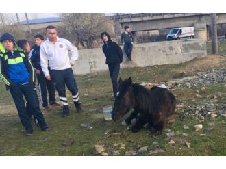 112 ekipleri şok oldu!