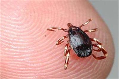 Tokatta keneden 3. ölüm 