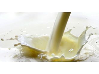 Ekimde 695 bin 164 ton inek sütü toplandı