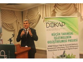 Karadeniz’e yeni bir ek gelir kapısı açılıyor