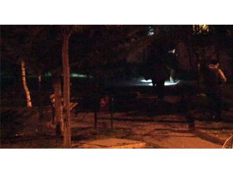 Başkent’te bir parkta molotof kokteylleri bulundu