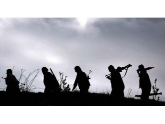 Siirt’te  terör örgütü PKK’ya darbe