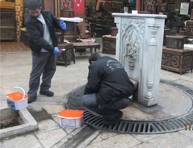 Büyükşehir’in Kemirgenlerle İmtihanı