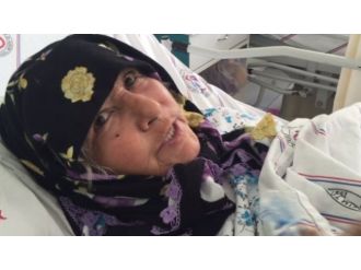 Zeytin toplayan kadın kuş sanılarak vuruldu