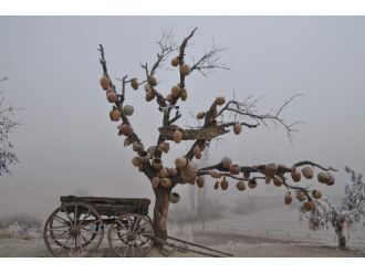 Sisle gelen güzellik