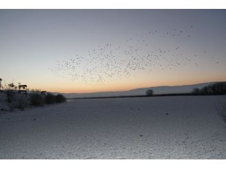 Ardahan’da ’buz’dan kareler