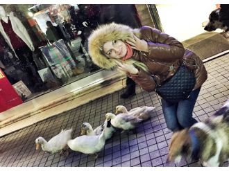 İstiklal Caddesinde ördek sürüsüyle gezdi