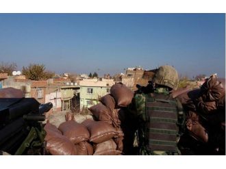 "Müşterek Sur operasyonu"