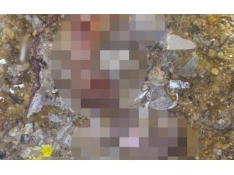 Çöplükte 26 cenin bulundu