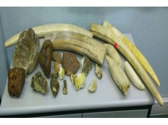 Bunları Türkiye’ye sokmak isterlerken yakalandılar