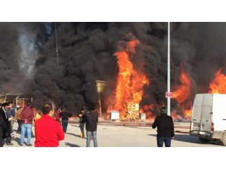 Çaresizce seyrettiler