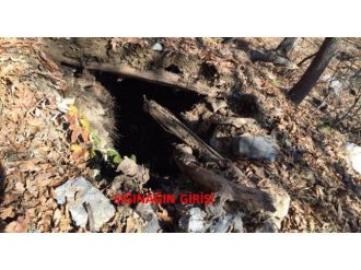 PKK’ya ağır darbe!