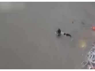 Annelik işte yavrularını böyle kurtardı