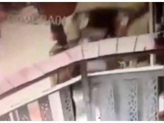 Cip kadını böyle ezdi