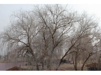 Kış güzellikler getirdi