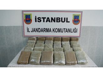 Jandarmadan 1 milyon TL’lik operasyon