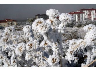 Kış ile gelen güzellik